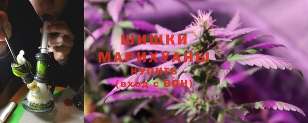 кокс Белокуриха