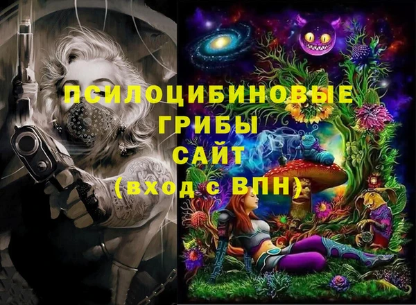 кокс Белокуриха