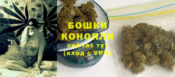 кокс Белокуриха