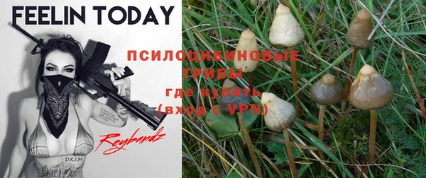 каннабис Майский