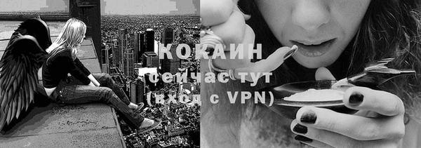 кокс Белокуриха